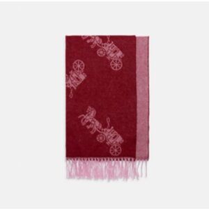 Coach Burgundy and Light Pink Scarf with Fringe